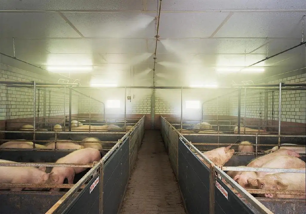 除了运用除臭剂，还有7种办法进行河南养猪场除异味